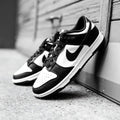 Nike Dunk Panda